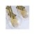 Pendente Lira 7x G9 Dourado - Nordecor - Imagem 4