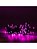 Cordão de LED FIXO 500L 31V 50M Blindado Roxo Tomada M/F Fio Verde (2024) - Imagem 2