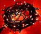 Cordão de LED FIXO 500L 31V 50M Blindado Vermelho Tomada M/F Fio Verde (2024) - Imagem 1