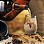 Licor Amarula Ethiopian Coffee 750ml - Imagem 3
