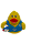 Pato praiano - Imagem 1