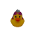 Pato Princesa - Imagem 1
