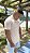 Camisa Dom Cap Metalizada - Imagem 3