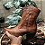 BOTA TEXANA WESTERN CANO CURTO - Imagem 6