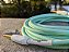 EM BREVE: Cabo Pig Hog Seafoam Green para Instrumento 6 metros - Imagem 2