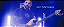 EM BREVE - Contrabaixo Dingwall NG3 5-Cordas - Matte Celestial Blue - Imagem 9