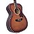 EM BREVE: Violão D'Angelico Premier Tammany Caramel Burst - Imagem 7