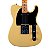 Guitarra Jet Tele Buterscotch SS, Corpo em Basswood, Braço e Escala em Roasted Maple - Imagem 4