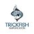 Preamp Trickfish FlexCore #79 c/ EQ 4 Bandas - 4 Knobs + Chave - Imagem 2