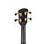 Contrabaixo Spector Doug Wimbish Signature Euro 4 Black Stain Gloss - Imagem 8