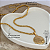 Colar 45cm Medalha Mãe De Pet - Imagem 5