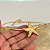 Colar Aro Estrela do Mar Orgânico - Imagem 2