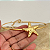 Conjunto Estrela do Mar Orgânico - Imagem 2