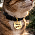 Pingente Tag Identificação Pet Gato Cachorro Gravação Laser - Imagem 5