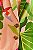 BLAZER TROPICALIST ESTAMPADA FARM 320465 - Imagem 5
