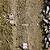 Pneu Vittoria Terreno T50 Mixed Gravel Endurance Black - Imagem 5