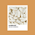 Combo Caps - OMEGA 3 +  VITAMINA D3 +  5 MAGNESIUM + COLLAGEN II COMPLEX - Imagem 8