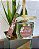 Kit Difusor + Home Spray Aroma Chocolate - Imagem 4
