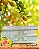 Papel Perfumado para Gaveta – Aroma Cítrico | Caixa com 5 Folhas / 42x62cm - Imagem 3