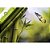 Papel de Gaveta Perfumado - Bambu - Caixa com 5 folhas - Imagem 3