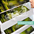 Kit Papel Perfumado 12 caixas iguais ou variadas - Imagem 1