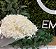 Coco Flocos Sem açúcar 100g - Imagem 1