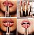 Batons Hot Lips 2 - Charlotte Tilbury - Imagem 2