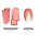 Patrick TA Powder Blush Duo & Lip Balm Makeup Gift Set - Imagem 8