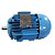 MOTOR WEG TRIFÁSICO 1,5 CV ALTA ROTAÇÃO 2 POLOS - Imagem 1