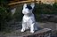 10cm - Bulldog Francês Geométrico - Sentado - Imagem 8