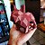 Bulldog Francês - Escultura 3D - Imagem 6