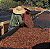 Blend da Capivara - Franck's Ultra Coffee - Imagem 4