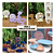 Display Baby Girl Decorar Chá Revelação MDF Branco Lilás - Imagem 2