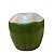 Coco Cerâmica Verde Com Bege Decorativo Festa Vaso Cachepot - Imagem 2