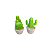 MINI TRIO DE CACTUS VERDE LIMAO - Imagem 3