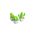 MINI TRIO DE CACTUS VERDE LIMAO - Imagem 1