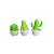 MINI TRIO DE CACTUS VERDE LIMAO - Imagem 2