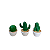 MINI TRIO DE CACTUS VERDE MUSGO - Imagem 1