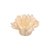 Forminha Madri Creme Decora Doces Embalagem 50 uni - Imagem 1
