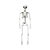 Esqueleto De Plástico Articulado Decorativo Festa Halloween - Imagem 9