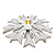 Espírito Santo Divino Resplendor Madeira De Parede Mod 8 - Imagem 2