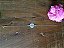 Pulseira Signo Peixes - Prata 925 - Imagem 3