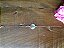 Pulseira Signo Touro - Prata 925 - Imagem 2