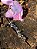 Brinco Dream - Prata 925 - Imagem 1