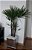 Cachepot de vidro 30x30x30 - Imagem 3
