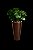 Locação de Plantas e Vasos decorativos para Eventos - Imagem 10