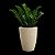 Locação de Plantas e Vasos decorativos para Eventos - Imagem 13