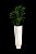Locação de Plantas e Vasos decorativos para Eventos - Imagem 8