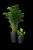 Locação de Plantas e Vasos decorativos para Eventos - Imagem 9