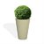 Locação de Plantas e Vasos decorativos para Eventos - Imagem 6